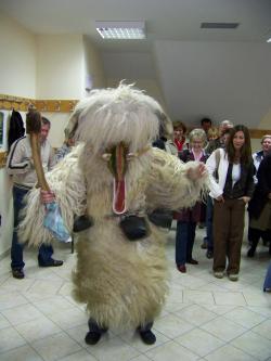 Sam je komentiral (Matjaž K): 