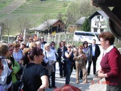  A boste pri nas kaj pogledali in degustirali - ali pa boste le poslušali??? Kaj že pomeni 