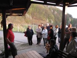 Repnica PREMIUM ... ali - kot pravite, da vam vino prodajajo po X ceni, vi pa tukaj kopljete v mivko z golimi rokami.