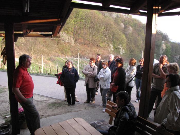 Repnica PREMIUM ... ali - kot pravite, da vam vino prodajajo po X ceni, vi pa tukaj kopljete v mivko z golimi rokami.