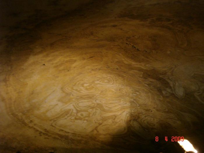 Planet DAVČNA OAZA ... vidne lise predstavljajo že zasedena področja.