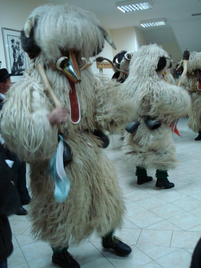 KORANT - v svoji odpravi in pri svojem plesu ... cca. 35 kg opreme (delavski šolni, zeleni gamaši, kožuh, kravji zvonci, ježevka, kapa z rogovi naprej) ... odganja zimo, preganja zle duhove in prinaša k hiši vse dobro.