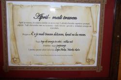 April izhaja iz latinske besede 