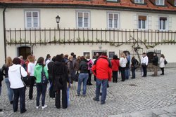 Zgodba o kraljici vseh trt ...