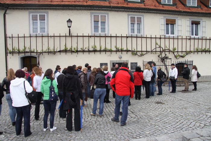 Zgodba o kraljici vseh trt ...