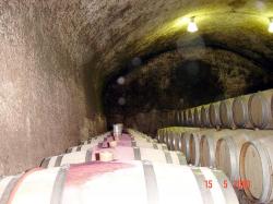 Kvaliteta mora zoreti (tudi davčna ?)