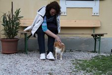 Sosedov muc, ki pa je že nekaj let naš 