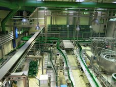 Pivo priteče po 6 (šestih) proizvodnih/polnilnih linijah … koliko flašk??