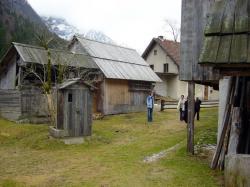 Zakaj ne bi tudi mi poskušali izbezljati kakšnega Dacarja??