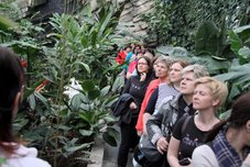 … idealni pogoji in bujna rast … voden sprehod skozi Tropski vrt v Dobrovniku. Pajkov, kač in ostalih plazilcev ne gojijo! …