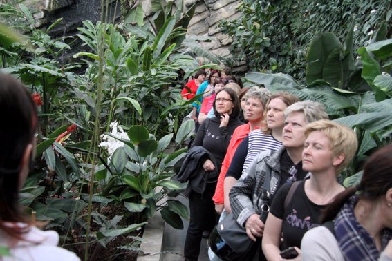 … idealni pogoji in bujna rast … voden sprehod skozi Tropski vrt v Dobrovniku. Pajkov, kač in ostalih plazilcev ne gojijo! …