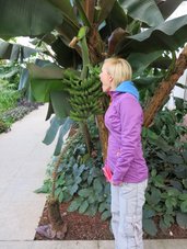 … nekateri so tudi okušali … Niso »častili« le vse pijače … bili so tudi iniciatorji zaužitja tropskega sadja pridelanega v Sloveniji