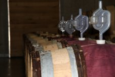 Moderno okolje zlito z naravo – Vinska klet Marof v Mačkovcih … bila je lunca!