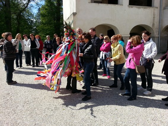 Katera bo moja? Boš ti? Ti boš!