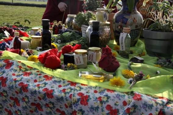 Vetrnica zdravja = rimska zelišča