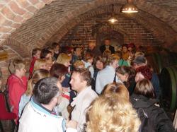 DEGUSTACIJA vin - kateri je boljši (prvi ali zadnji)?