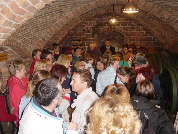 DEGUSTACIJA vin - kateri je boljši (prvi ali zadnji)?