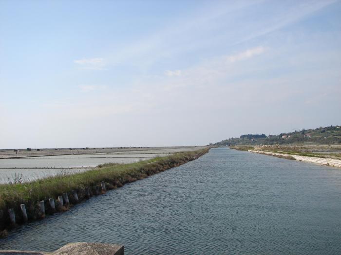 Kam le teče ta tok časa? - 2007 - že tradicionalno 10. srečanje članov kluba davkoplačevalcev in 5. srečanje članov SUPER kluba davkoplačevalcev ter ostalih udeležencev.