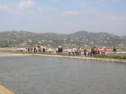 Mi se ne damo - gremo nasproti in naše vrste so vsak dan številčnejše.