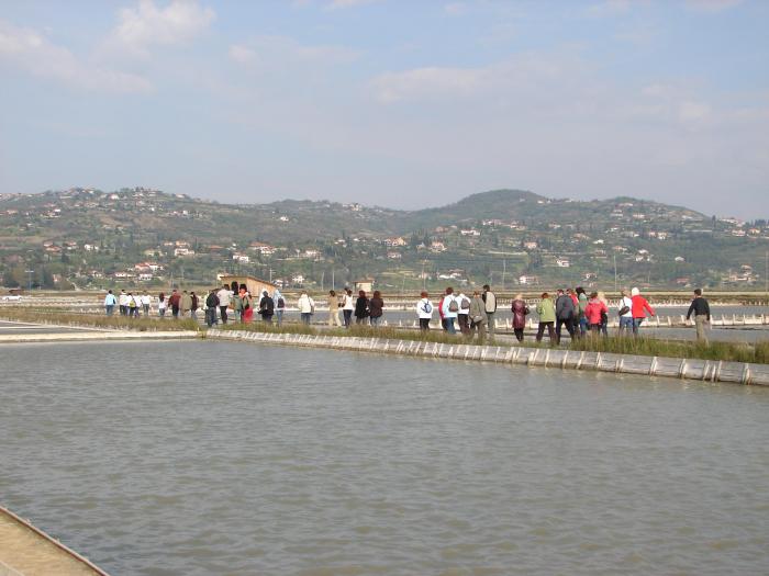 Mi se ne damo - gremo nasproti in naše vrste so vsak dan številčnejše.