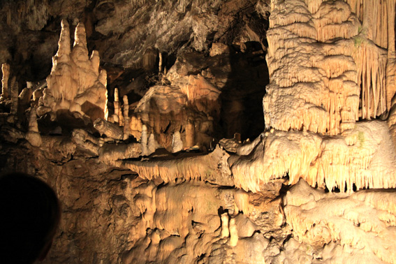 Kaj vidite na tej čudežni naravni upodobitvi?